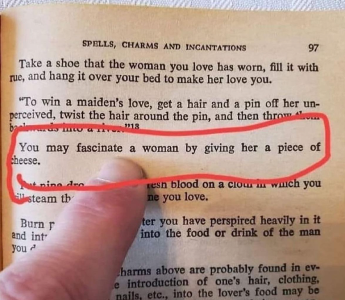 Plik:Serowe Porady.png